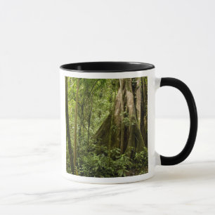 Molnskog, Bosque de Paz, Costa Rica Mugg