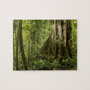 Molnskog, Bosque de Paz, Costa Rica Pussel