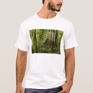 Molnskog, Bosque de Paz, Costa Rica T-shirt