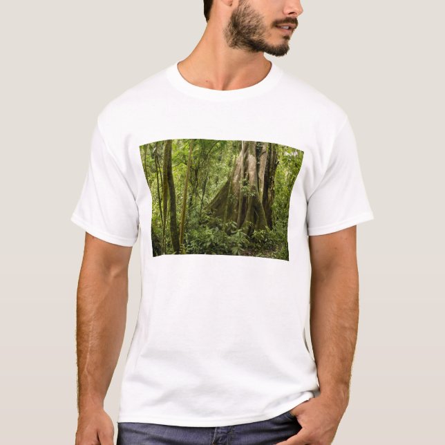 Molnskog, Bosque de Paz, Costa Rica T-shirt (Framsida)