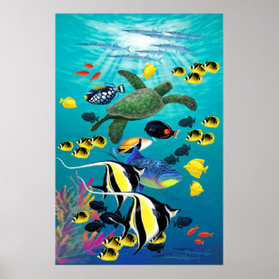 Molokini Cove Hawaiian Tropical Fish Illustration Poster