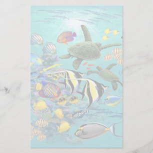 Molokini Cove Hawaiian Tropical Fish Sea Turtle Brevpapper