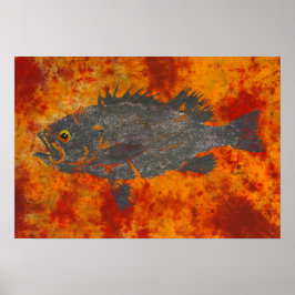 Molten Rockfish - 19-tums x 13-tums Poster