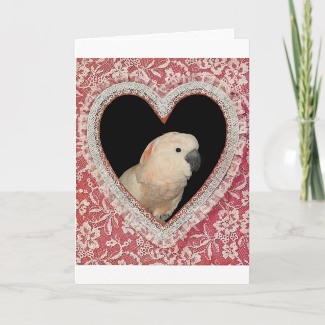 Moluccan Cockatoo Kärlek Valentine Design Helgkort (Framsida)