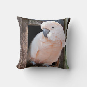 Moluccan Cockatoo Kudde