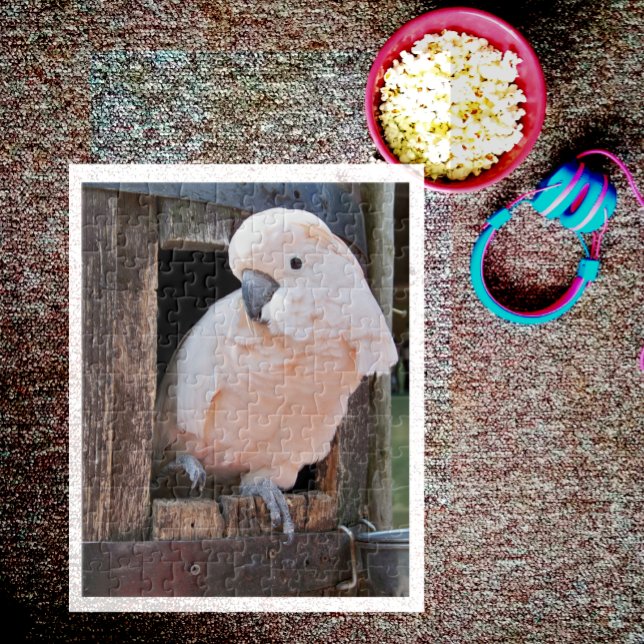 Moluccan Cockatoo Pussel (Skapare uppladdad)