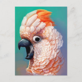 Moluccan Cockatoo - realistisk målning Vykort