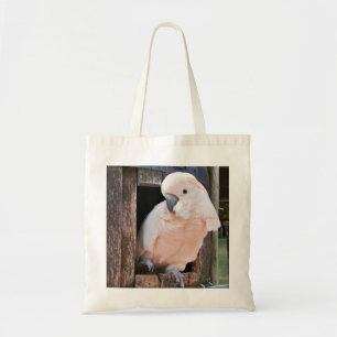 Moluccan Cockatoo Tygkasse