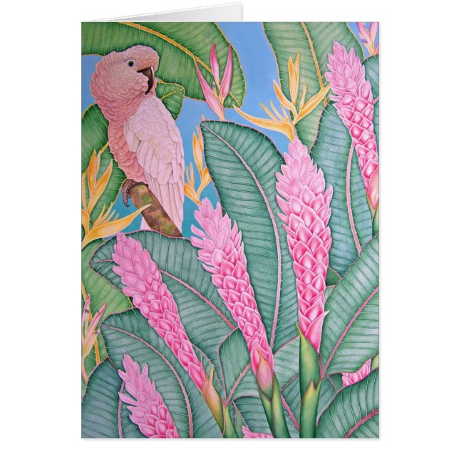 Moluccan kakadua hälsningskort (Framsidan)