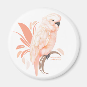 Moluccan kakadua magnet