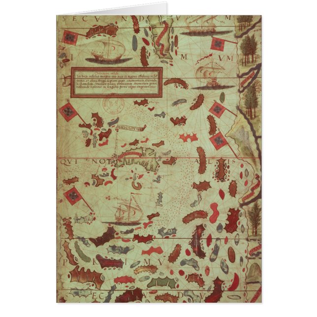 Moluccasna Hälsningskort (Framsidan)