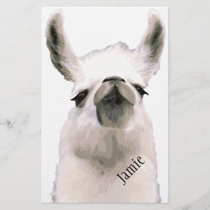 Moma Llama Brevpapper