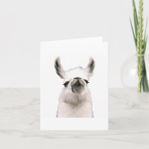 Moma Llama Kort