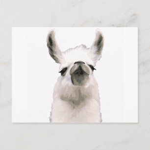 Moma Llama Vykort