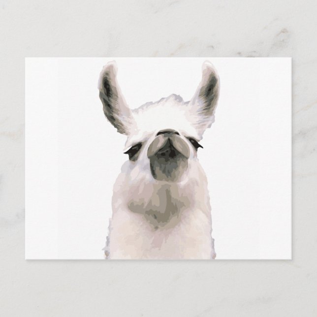 Moma Llama Vykort (Framsida)