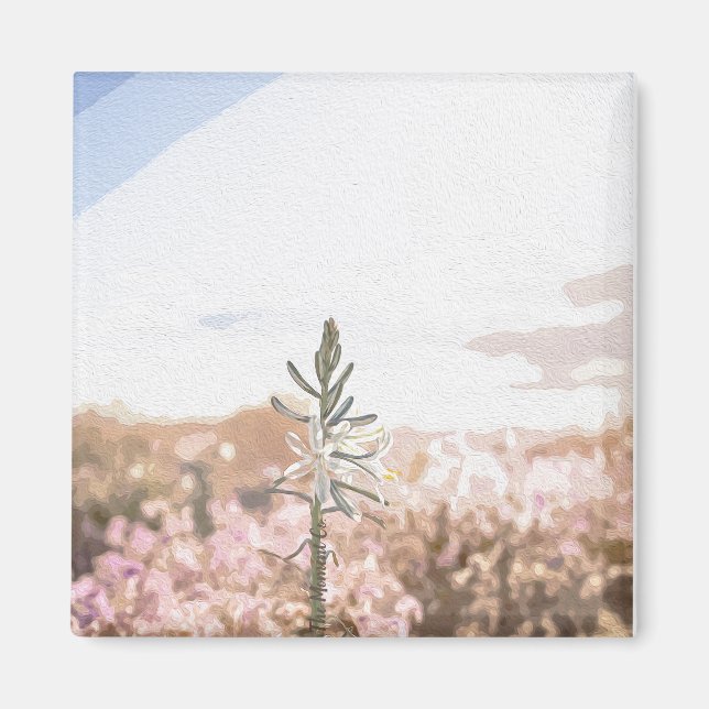 Moment Co. Magnet (Framsidan)