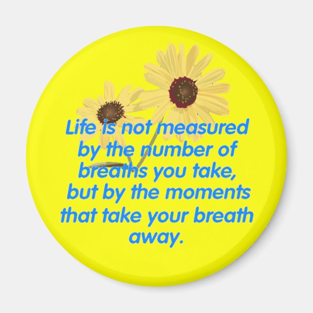 Momentnät Magnet (Framsidan)