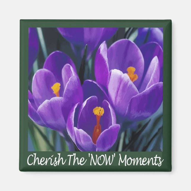 Moments Magnet (Framsidan)