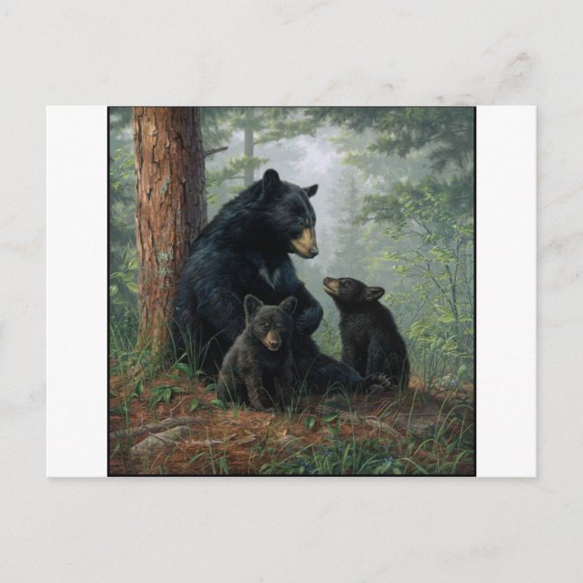 Momma Bear Vykort (Framsida)