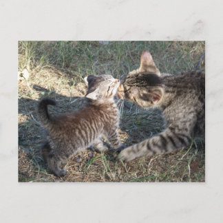 Momma cleans Baby Vykort