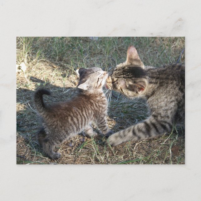 Momma cleans Baby Vykort (Framsida)