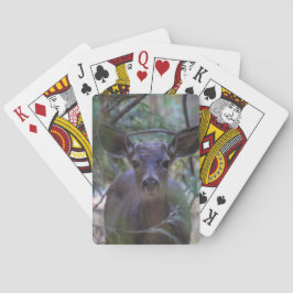 Momma hjort casinokort