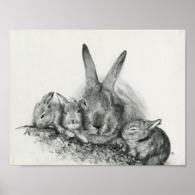 Momma kanin med Baby Bunnies Pencil Teckning Poster (Framsidan)