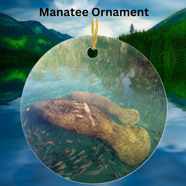 Momma och Baby Manatee Ceramic/Porcelain Ornament (Skapare uppladdad)
