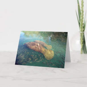 Momma och Baby Manatee Greeting Card Kort