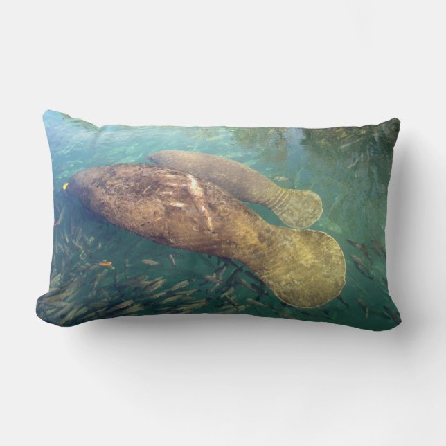Momma och Baby Manatee Pillow Lumbarkudde (Framsida)