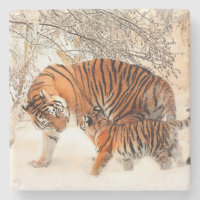 Momma och Baby Tiger