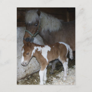 Momma och Baby Vykort