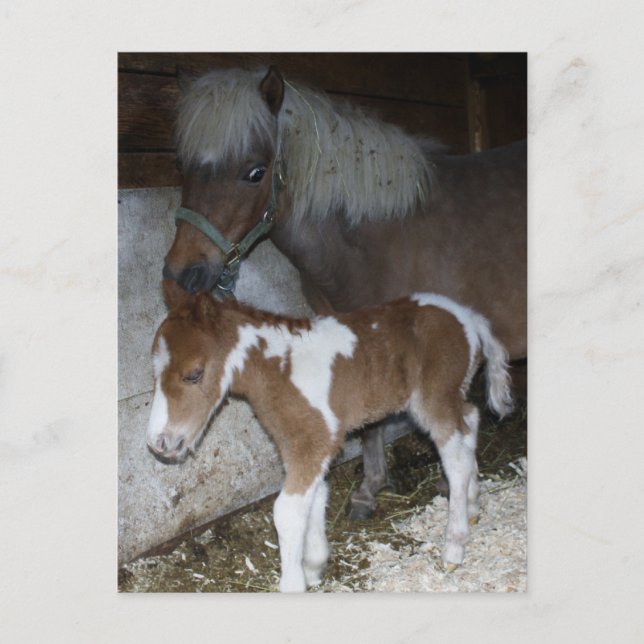 Momma och Baby Vykort (Framsida)