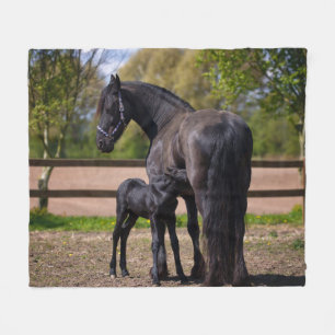 Momma och babyhäst fleecefilt