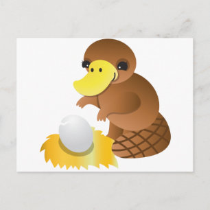 MOMMA-platypus Vykort