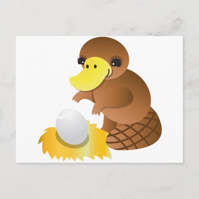 MOMMA-platypus Vykort (Framsida)