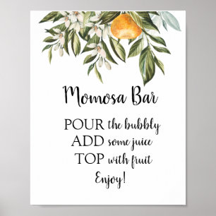 Momosa Bar Baby Shower Dryckeskylt Poster