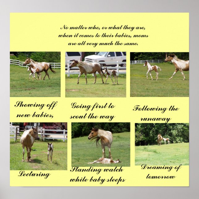 Moms and Babies Poster (Framsidan)