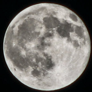 MOMZMOON RUND KUDDE