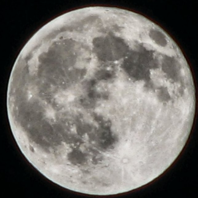 MOMZMOON RUND KUDDE (Skapare uppladdad)