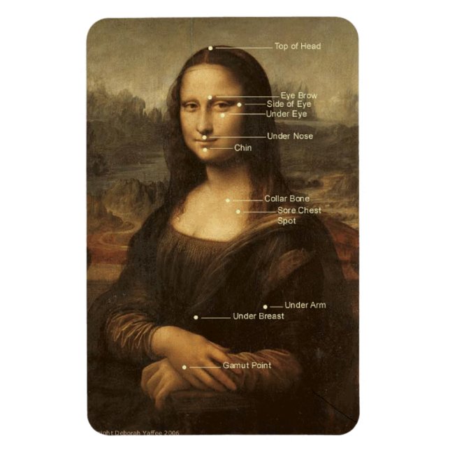 Mona Lisa EFT-fästpunkter 4"x6" flexibel magnet (Vertikal)