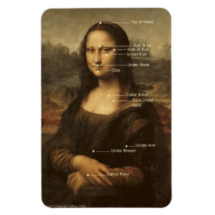 Mona Lisa EFT knackning pekar 4"" den böjliga Magnet