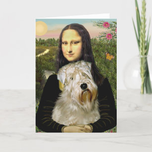 Mona Lisa - Wheaten Terrier 1 Kort