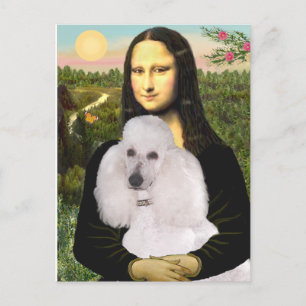 Mona-Pood-White-Standard Pudel Vykort