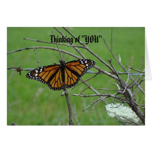 Monach öppen vingar som är tänkande av "DIG ", Hälsningskort (Framsidan Horizontal)