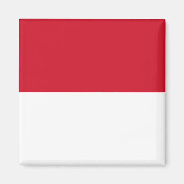 Monaco Flagga Magnet (Framsidan)