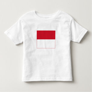 Monaco Flagga T Shirt