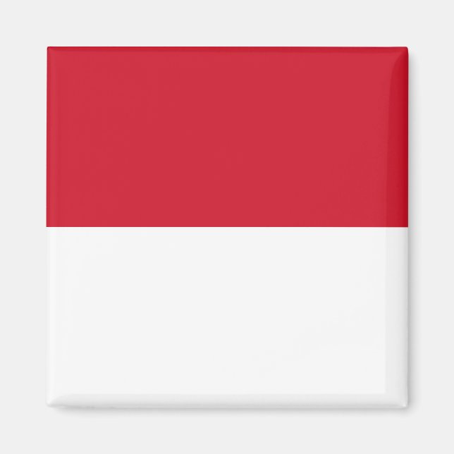Monaco National World Flagga Magnet (Framsidan)