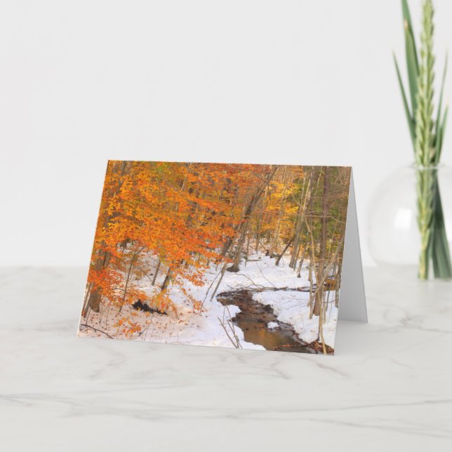 Monadnock Forest Stream och Snö Foliage Kort (Framsida)