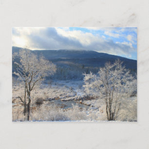 Monadnock Winter Wetland Vykort